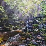 Lost in Shenandoah by Elena Nabokova