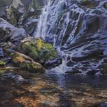 Dark Hollow Falls by Elena Nabokova