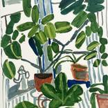 Houseplants by Rosa Roberts