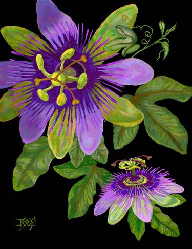 Print of Fine Art Floral Mixed Media by Janet Boyd Art