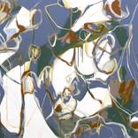Wild Earth by Cheryl Harrison