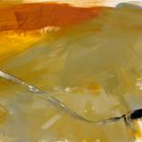 Ochre Plains by Cheryl Harrison