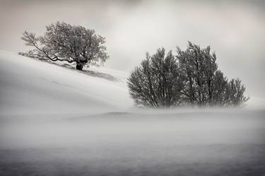 Print of Art Deco Landscape Photography by Philippe Lebeaux