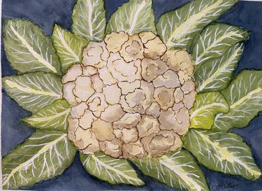 Original Botanic Paintings by Tina Lustig