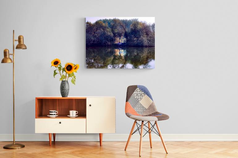 Original Conceptual Nature Photography by Monika Czingel