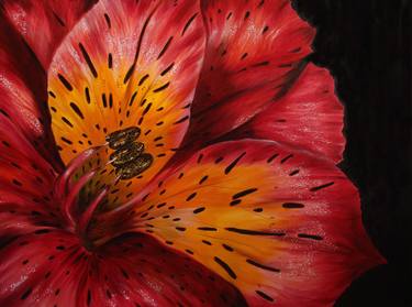 Original Realism Floral Paintings by Shveta Saxena