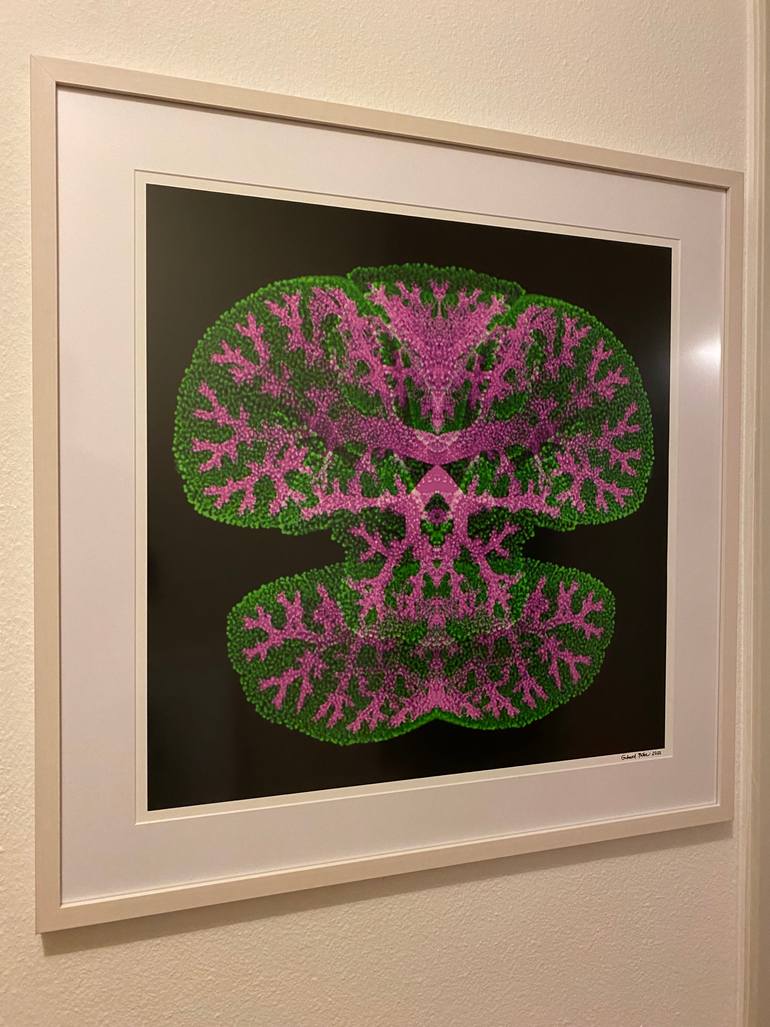 Original Abstract Animal Mixed Media by Gerhard Petzl