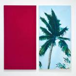 Collection Caribbean colors