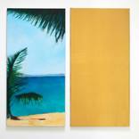 Collection Caribbean colors