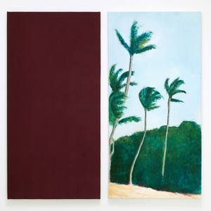 Collection Caribbean colors
