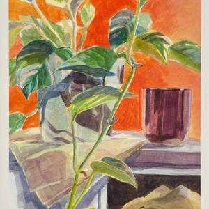 Pothos in Orange Room