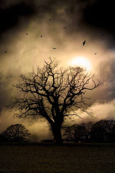 Original Fine Art Landscape Photography by Martin Fry