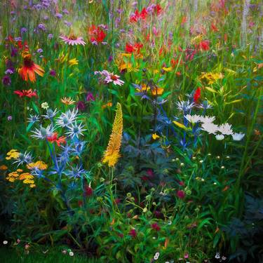 Original Impressionism Garden Digital by Martin Fry