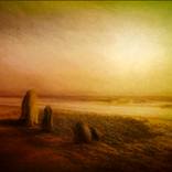 Petrified Trees by Martin Fry