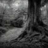 Guardian of the Path by Martin Fry