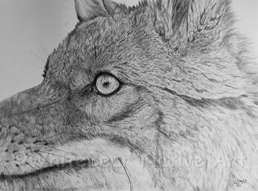 Original Animal Drawings by Kathy S  WhiteBear Copsey