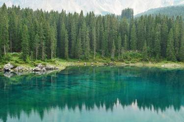 Pine tree forest over Lake Carezza - Karersee - Limited Edition 1 of 5 thumb