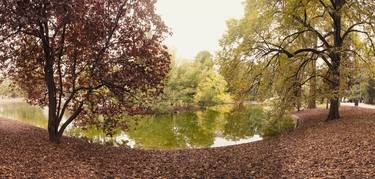 Autumn trees (panoramic) - Limited Edition of 5 thumb