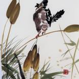 Blackbird and cattails by Christel Lane