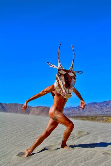 Original Surrealism Animal Photography by Terry Hastings