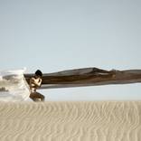 Collection Quick Ship Wall Art Prints