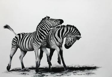 Print of Animal Drawings by Paul Hewlett