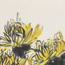 Detail Upper Part Yellow Chrysanthemum