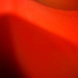 Burning red 4 by Jeremy Damien