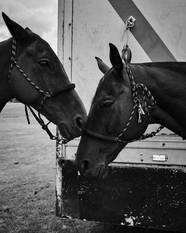 Original Art Deco Horse Photography by Jean Kosse