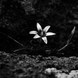Collection Design Style: Wabi-Sabi