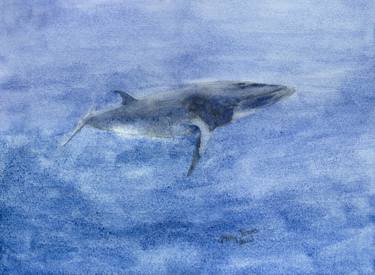 Dwarf Minke Whale Watercolor Painting thumb