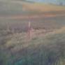 Field contours details