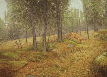 Original Realism Animal Paintings by Randall Bennett
