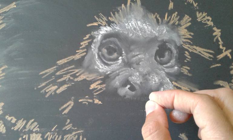 Original Animal Drawing by Marcos Aurelio