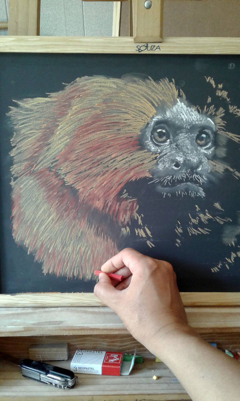 Original Animal Drawing by Marcos Aurelio