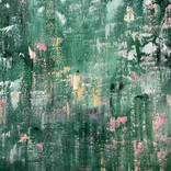 The Old Garden Waking Up by Alanah Jarvis