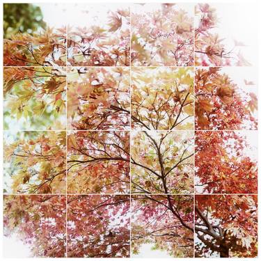 Original Conceptual Tree Photography by Keith Hammond