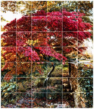 Japanese Maple ii, 2014 - Limited Edition of 8 thumb