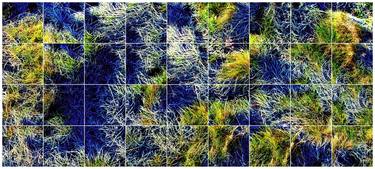Frost on Grass i, 2015 - Limited Edition of 8 thumb