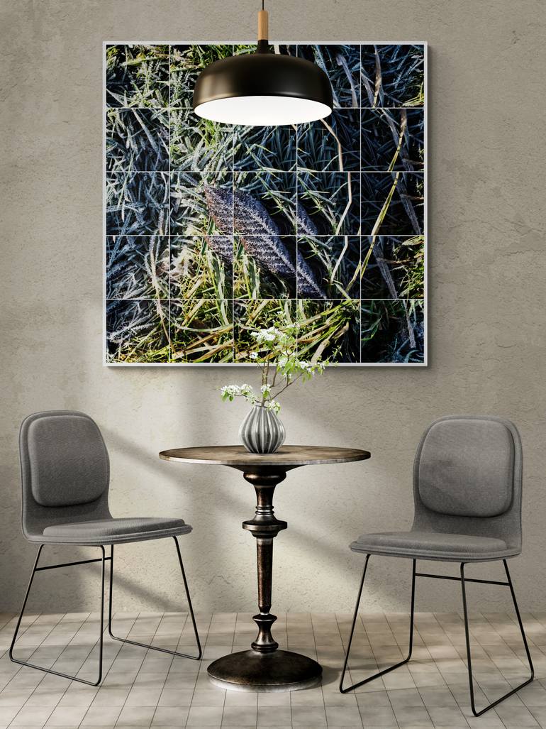 Original Abstract Nature Photography by Keith Hammond