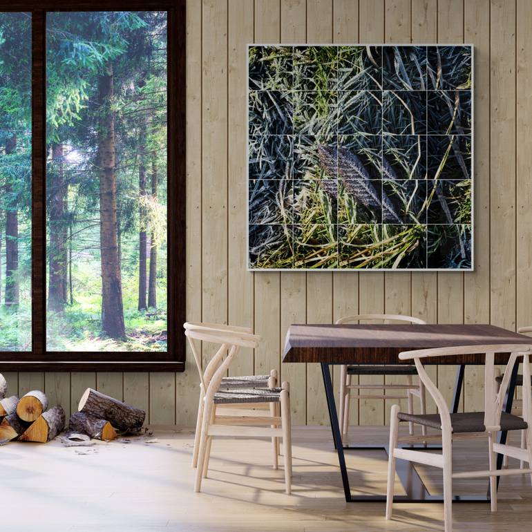 Original Abstract Nature Photography by Keith Hammond