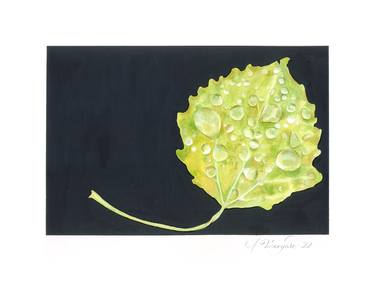 Print of Fine Art Botanic Paintings by Alicia Vineyard