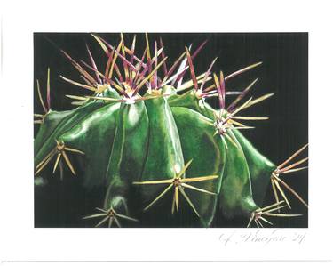 Original Realism Nature Painting by Alicia Vineyard