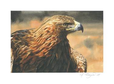 Original Realism Animal Painting by Alicia Vineyard