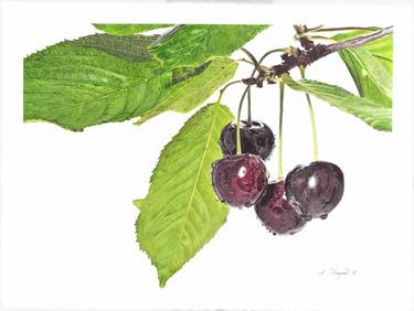 Original Photorealism Nature Paintings by Alicia Vineyard