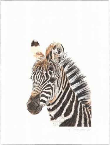 Original Fine Art Animal Paintings by Alicia Vineyard