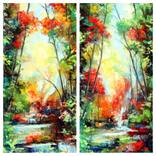 Luci-Ombre Del Bosco by Bruno D'Anna