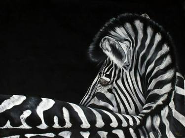 Elegant Zebra thumb