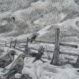 Corvid winter by Debra Cox Passaris