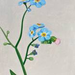 Blue flowers by Matt McLellan